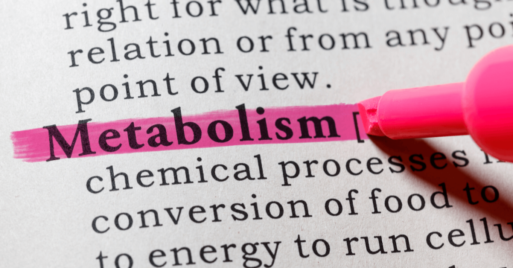 Metabolism
